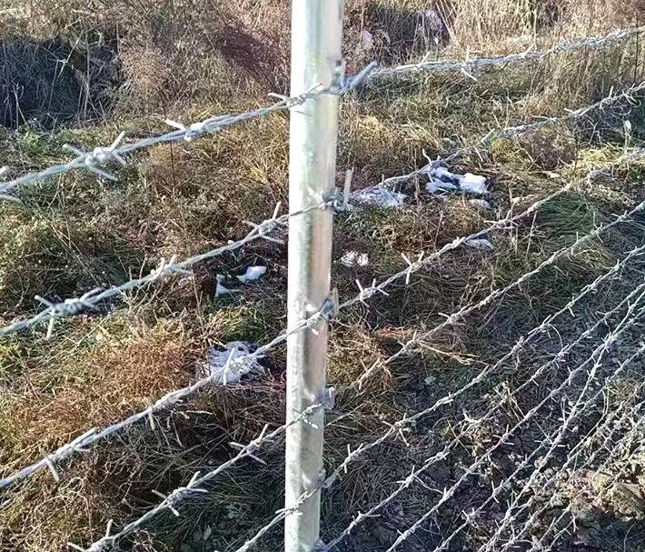 High-Security Barbed Wire – Durable & Intimidating Perimeter Protection