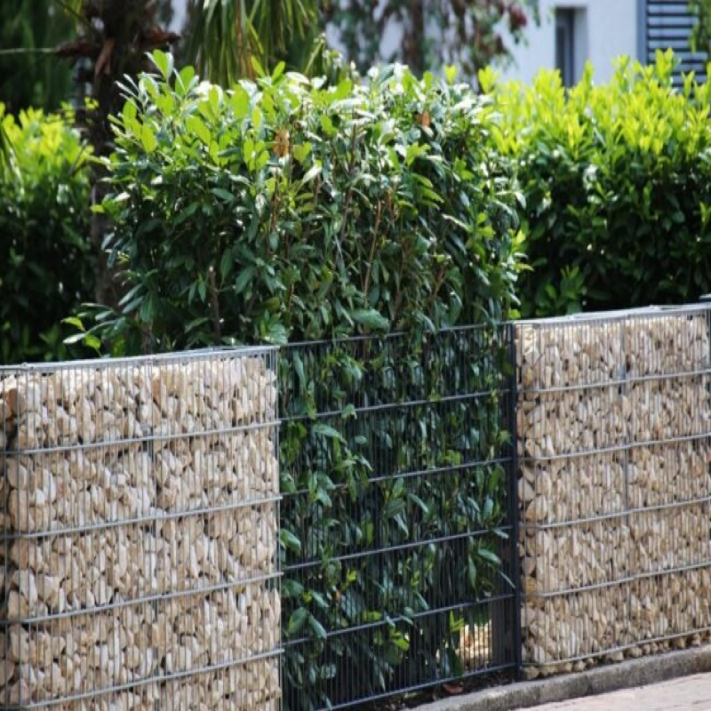 Pared de Gabion del jardín