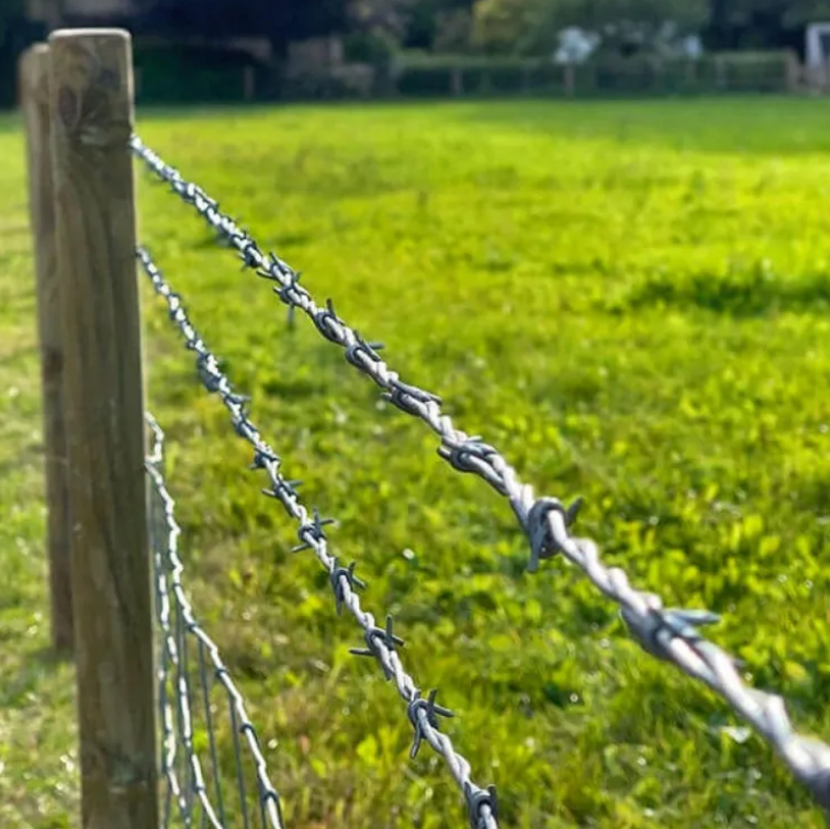 Double Twist Barbed Wire: Perimeter Defense Engineered for Maximum Deterrence