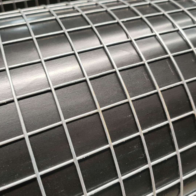 Affordable 8 Gauge 2x2 Inch Rust-Proof Hot-Dip Galvanized Welded Wire Mesh Rolls for Fencing