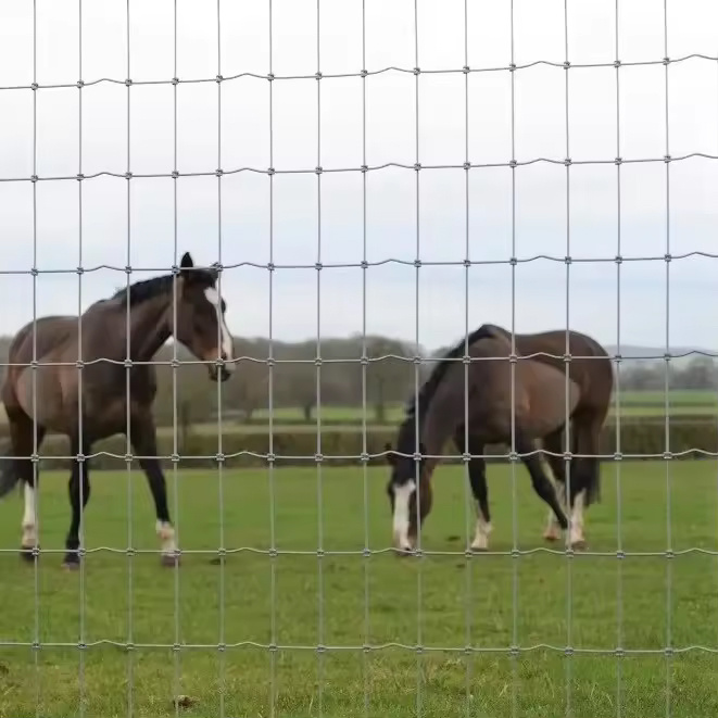 Wholesale China high quanlity cow fence cattle wire for livestock