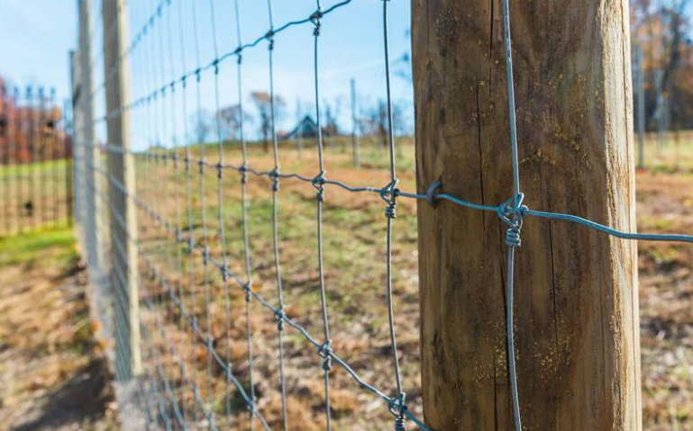 The Ideal Field Fence for Horses, Deer, and Sheep