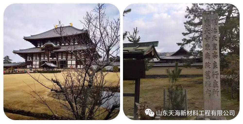 收獲新體驗，奮斗新征程