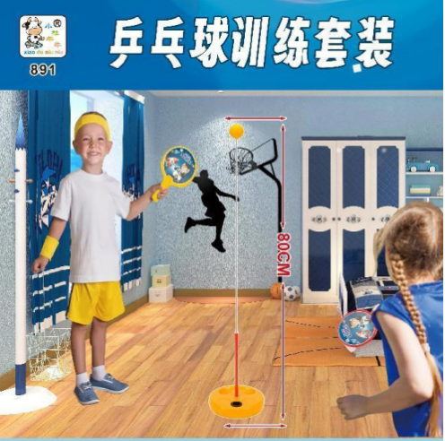891 Table Tennis Training Set