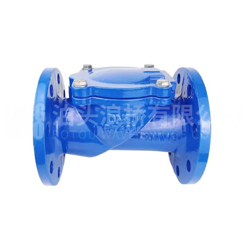 Rubber flap check valve