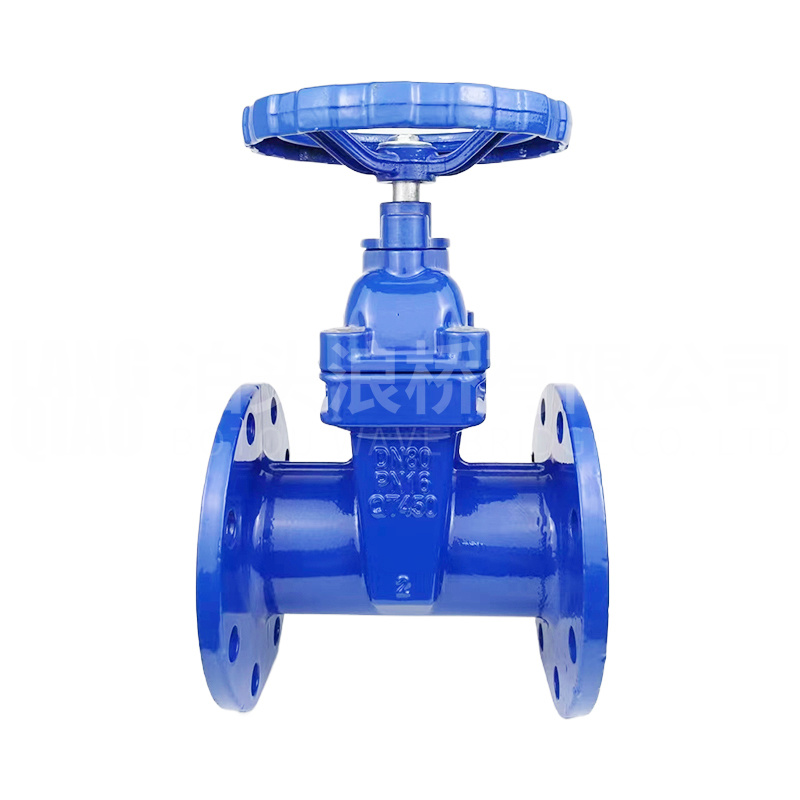 National standard soft seal gate valve
