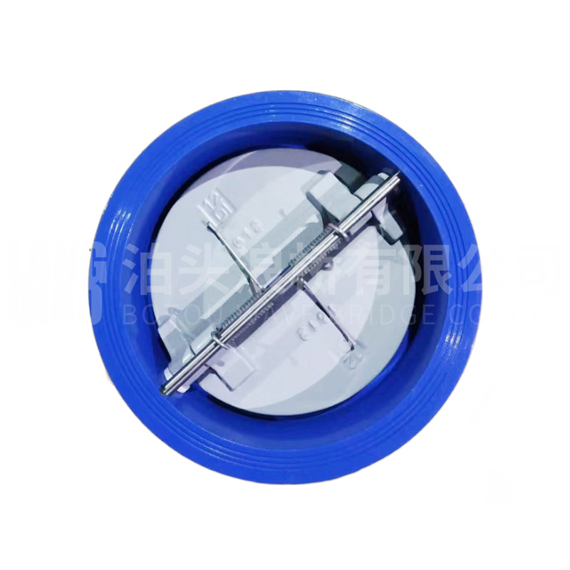 Clamp check valve
