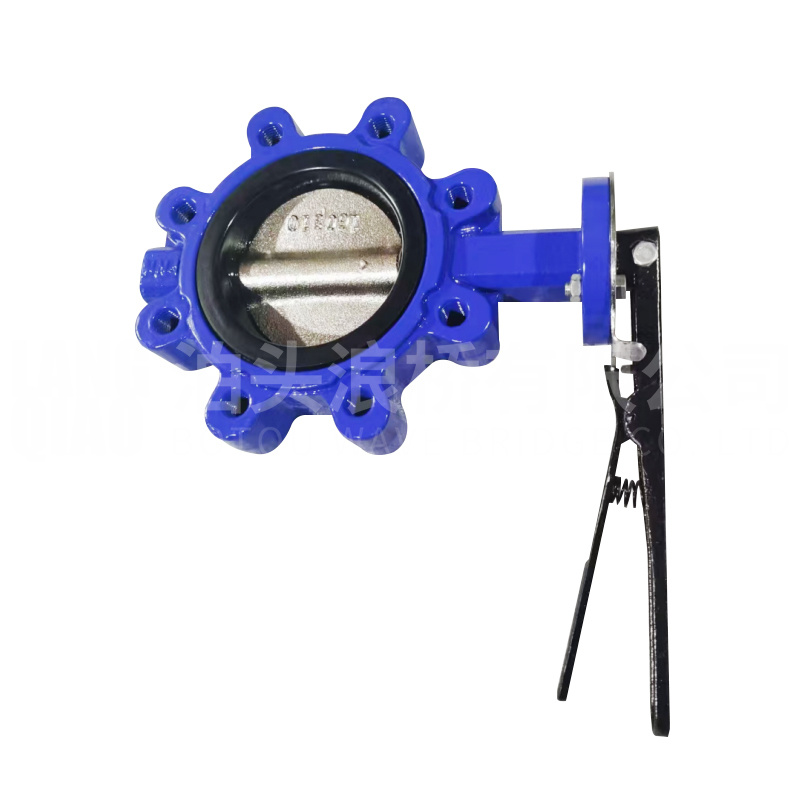Lug against clamp butterfly valve