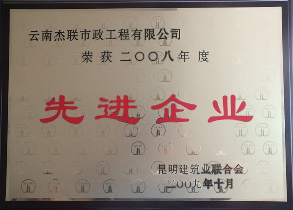 榮獲2008年先進企業(yè)