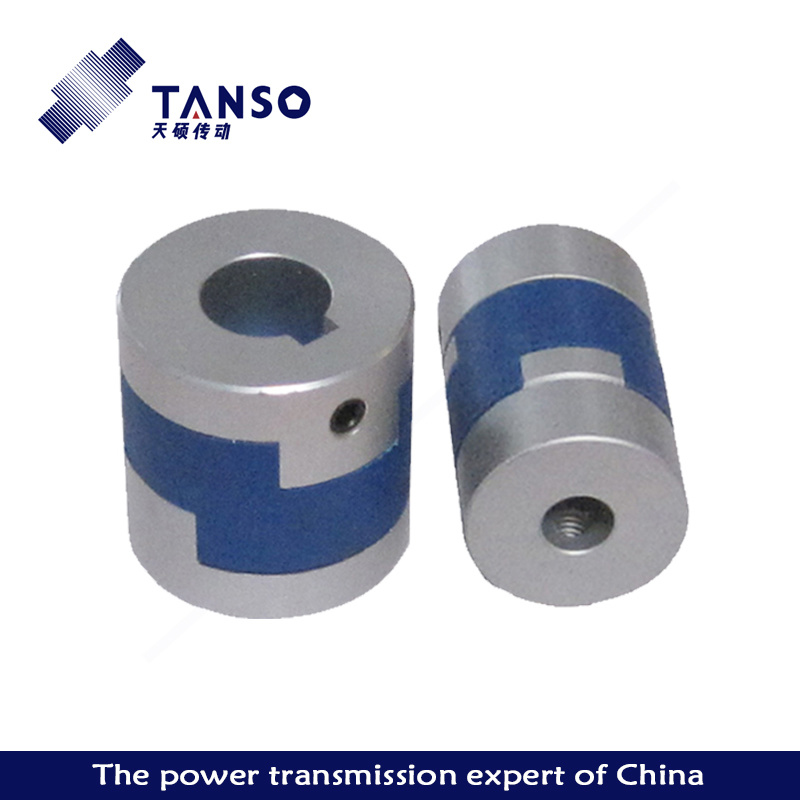 TS6 oldham coupling