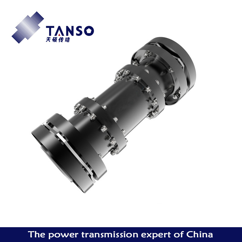 TAR disc coupling