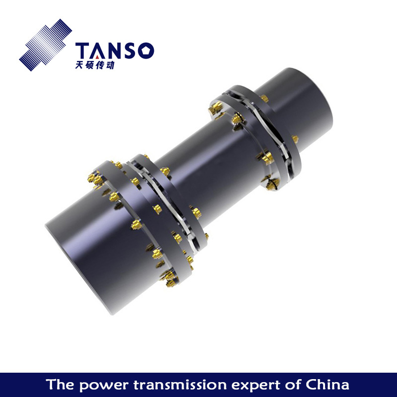 TAG disc coupling