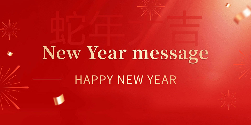 Chairman's New Year's Speech for 2025