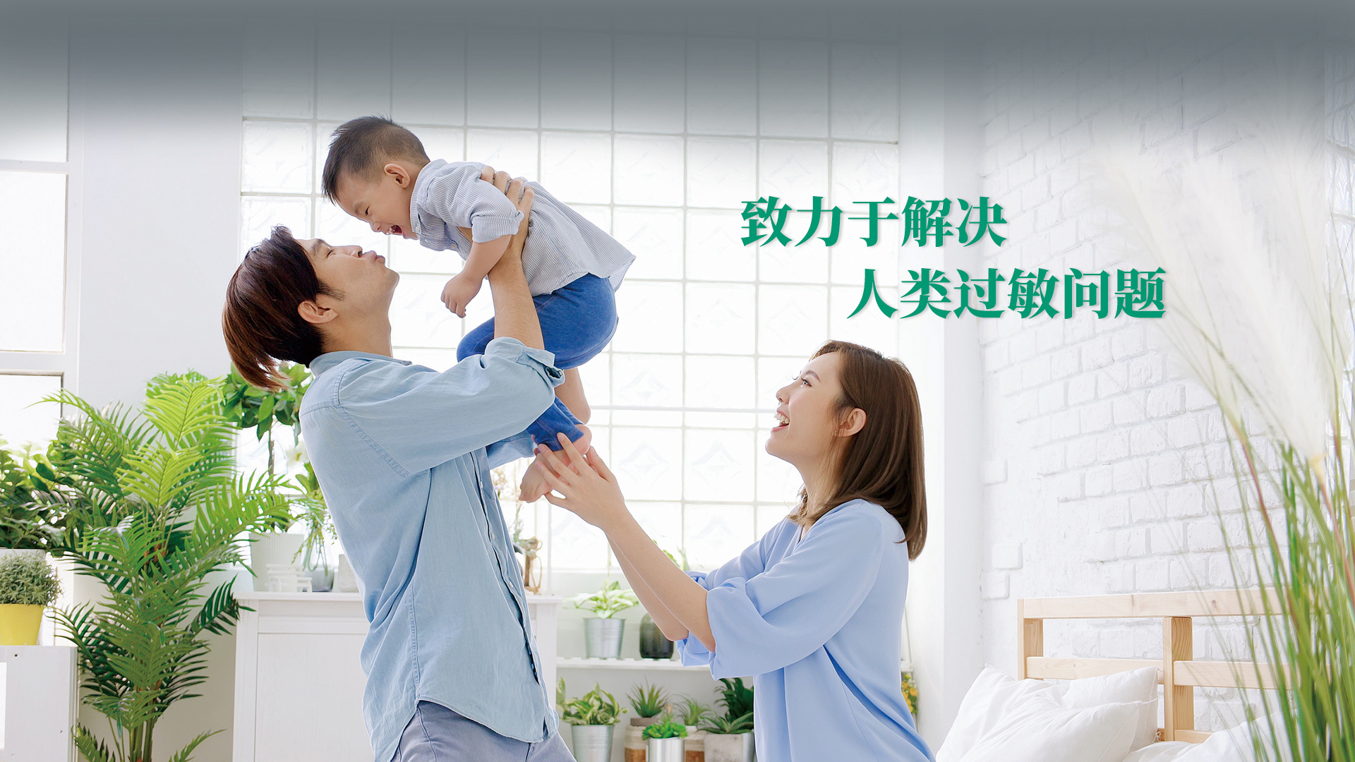 1066vip威尼斯