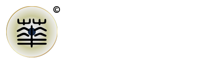 瑞華技術