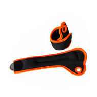 Ankle/Wrist Weight