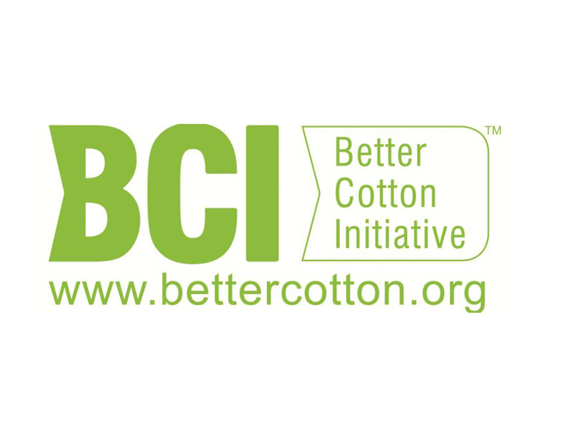 BCI