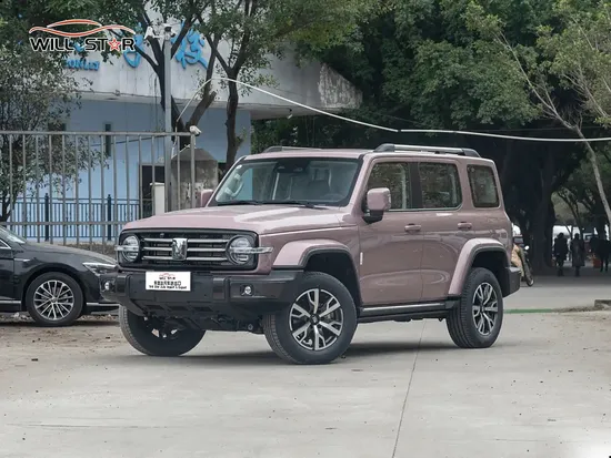 Gwm Tank 300 2.0t Petrol Car Compact SUV Travel New Car City Powerful Energy Vehicles for Sale