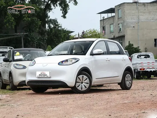 Wuling Binguo Cheap Auto 333km EV Small Car 4 Seat Hatchback Adult Electric Vehicles for Sale