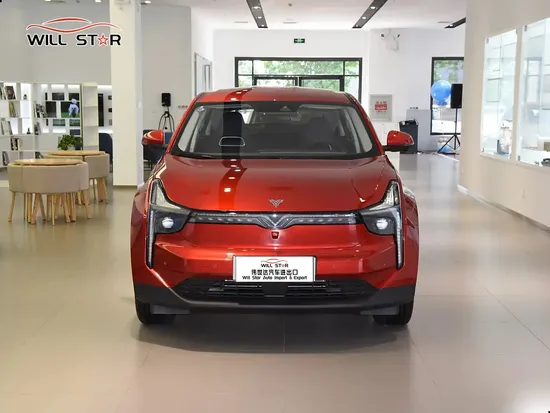 Nezha Neta U Mini EV SUV 400 New Energy Auto Used Car for Sale