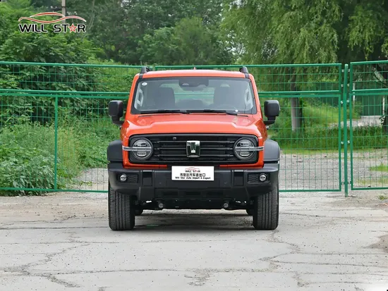 Best Personal Vehicle Tank 300 Tank Car Sports Gasoline Car off Road Vehicle
