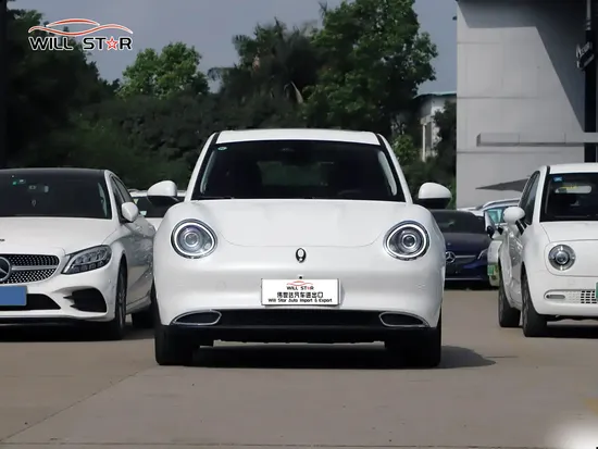 Ora Good Cat Popular Auto Pure Electric Vehicle EV Mini Electric Used Car for Sale