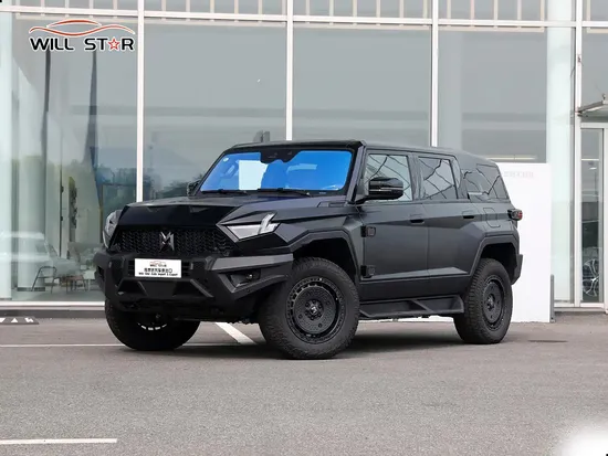 Prepayment High Performance Dongfeng M-Hero 917 EV Cars Made in China