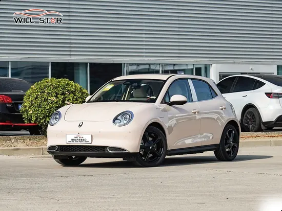 Ora Good Cat EV New Energy Vehicle Home Use Auto Electrico PARA Adultos Small Electric Car