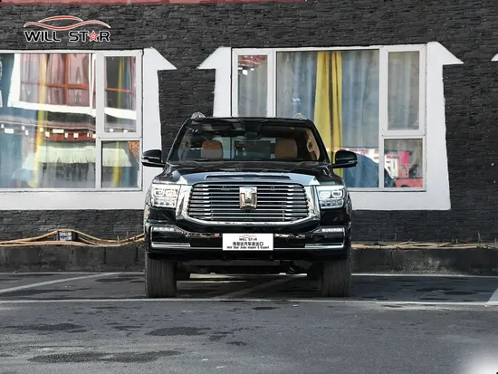 New Energy Hybrid SUV Tank 500 Vehicles Hybrid MID to Large SUV Cars