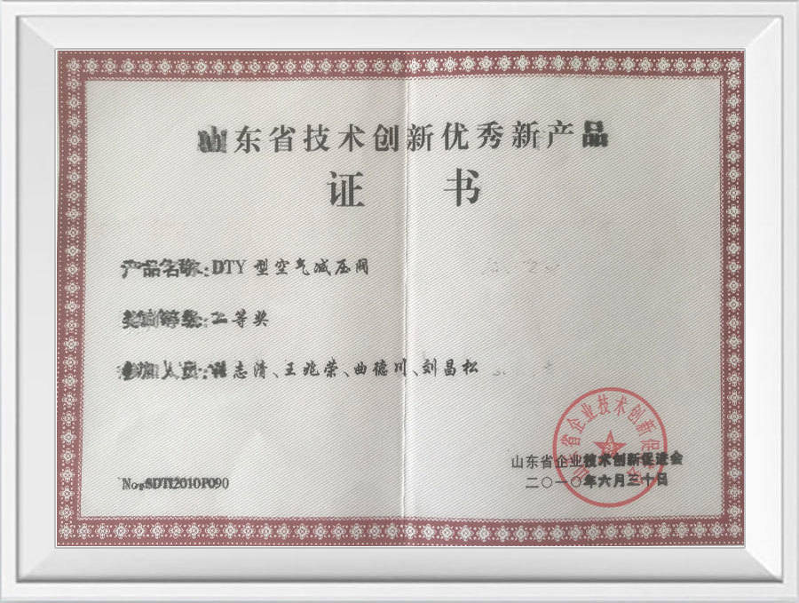 Shandong Province Technology Innovation Excellent New Product Certificate