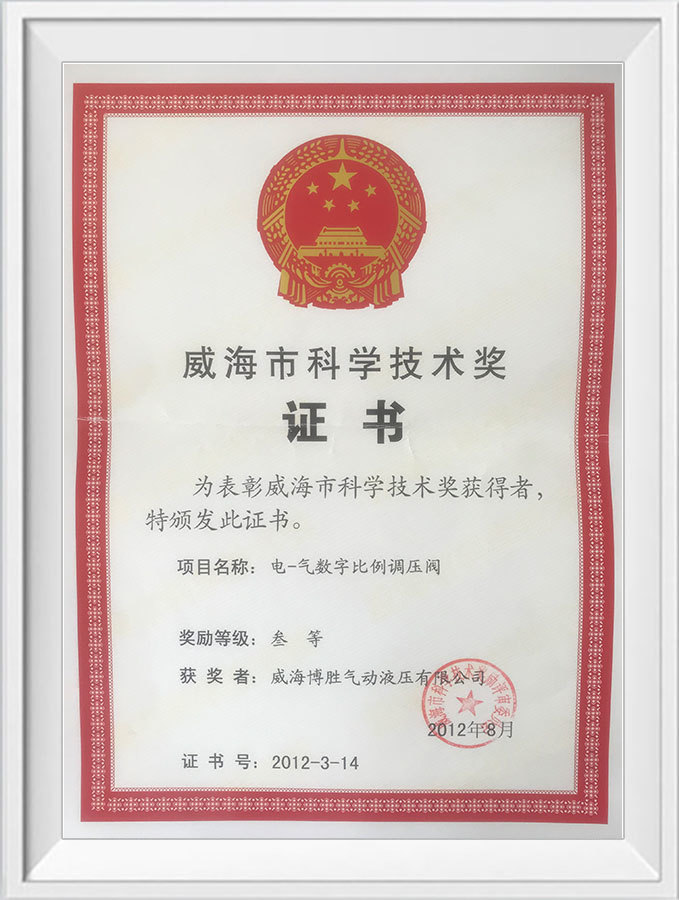 Weihai City Science and Technology Award