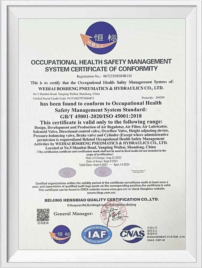 ISO45001 EN