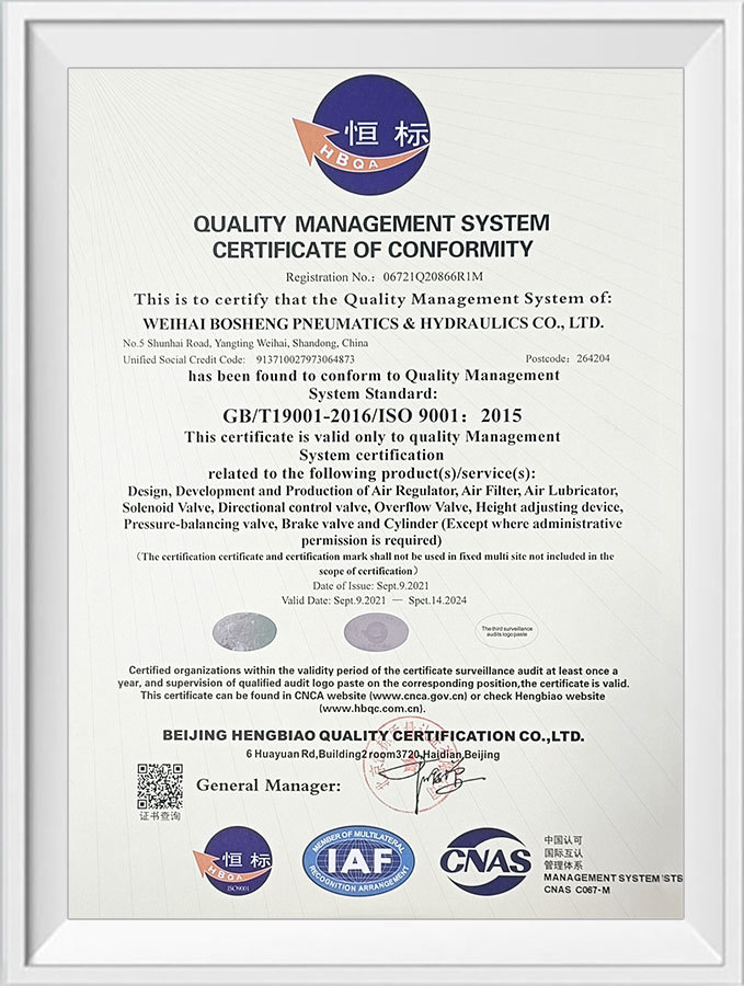 ISO9001 EN