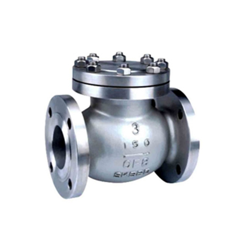 Swing check valve