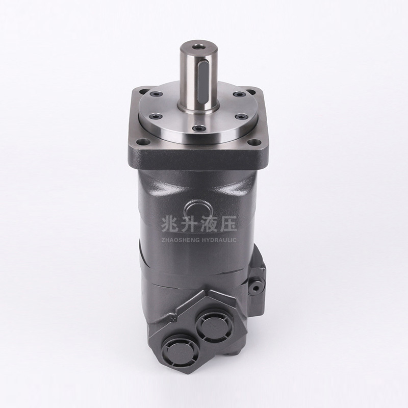 BM6 Series Orbital Hydraulic Motor