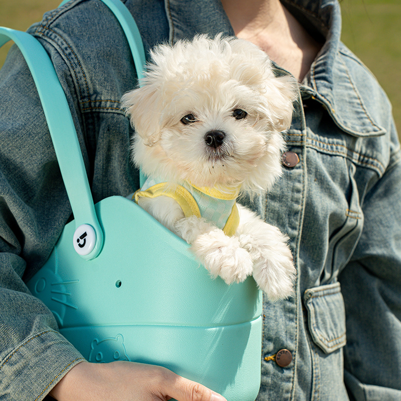 "2025 Pet Bag Hot Sales Trend: EVA Hole Pet Bag Becomes a Must-Have Travel Companion for Dogs and Cats" "2025 Pet Bag Hot Sales Trend: EVA Hole Pet Bag Becomes a Must-Have Travel Companion for Dogs and Cats"