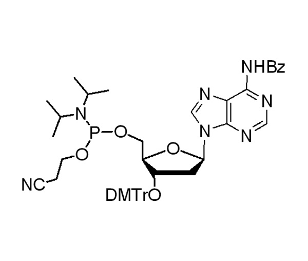 N-苯甲酰基-3’-O-(4,4'-二甲氧基三苯甲基)-2’-脱氧腺苷-5’-CED-亚磷酸酯单体