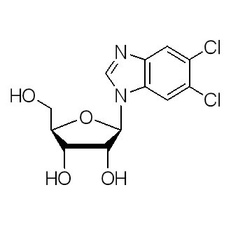 5,6-Dichlorobenzimidazole riboside