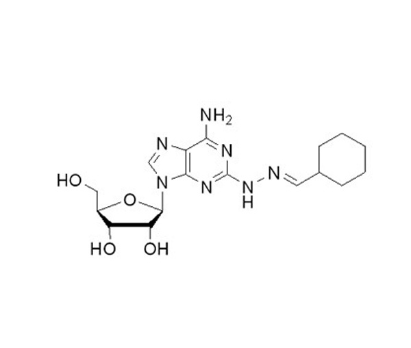 2-(Cyclohexylmethylidene hydrazino) adenosine, Binodenoson