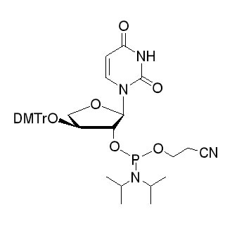 DMTr-TNA-U-amidite