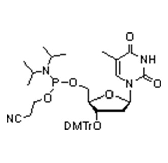 3’-O-DMTr-thymidine-5’-O-CED-phosphoramidite