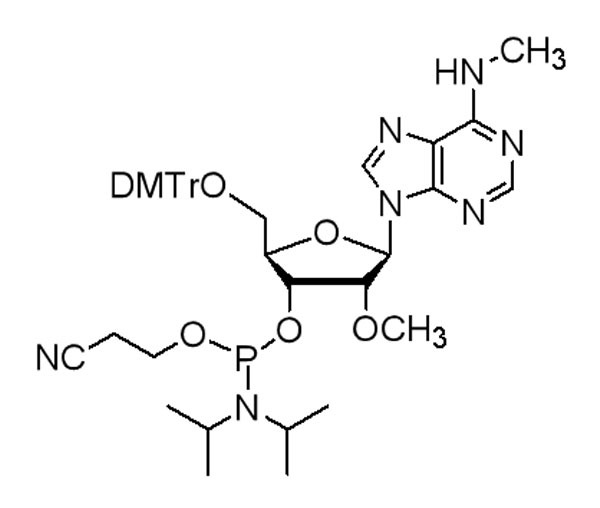 5’-O-DMTr-2’-O-methyl-N6-methyl adenosine 3’-CED phosphoramidite