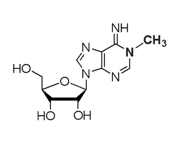 N1-Methyladenosine
