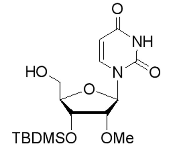 3’-O-(t-Butyldimethylsilyl)-2’-O-methyluridine