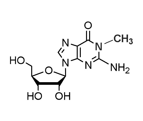 N1-Methylguanosine