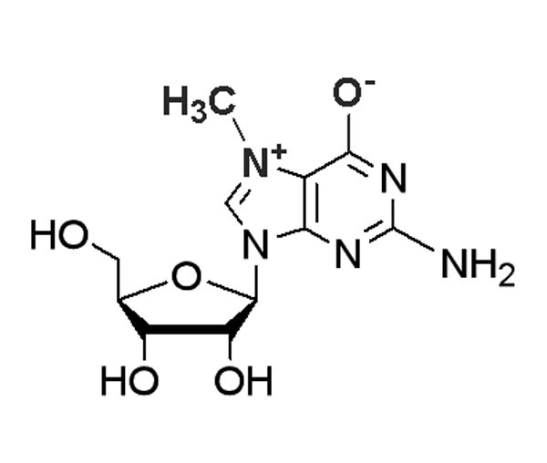 N7-Methylguanosine