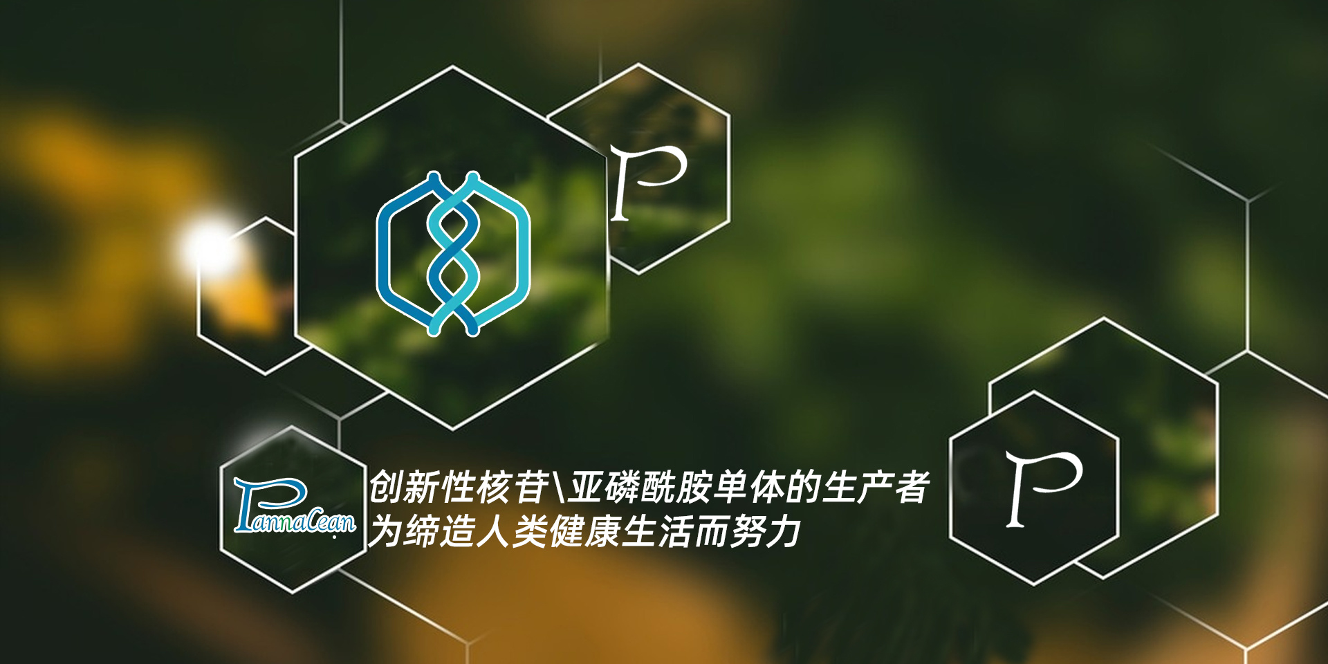 攀纳燊（河南）医药科学技术有限公司