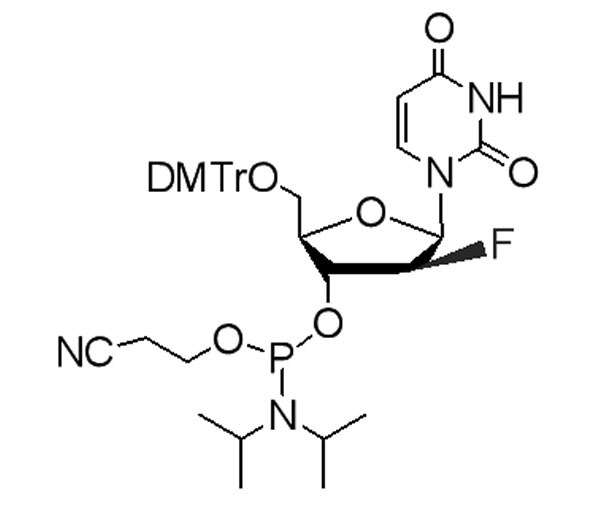 5’-O-(4,4’-Dimethoxytrityl)-2’-deoxy-2’-fluoro-beta-D-arabinouridine-3’-CED-phosphoramidite