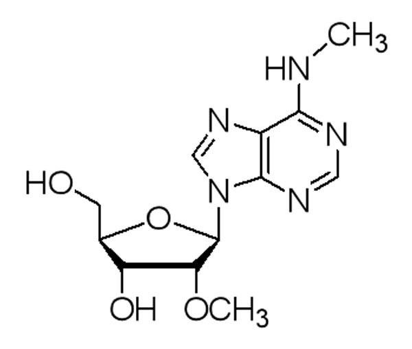 N6-Methyl-2’-O-methyladenosine