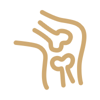 神經(jīng)肌骨